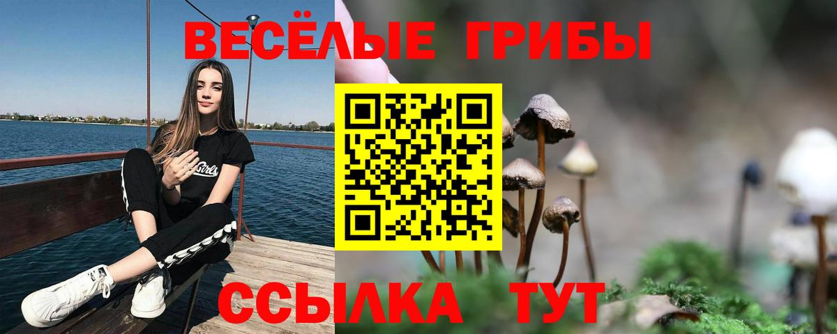 Псилоцибиновые грибы MAGIC MUSHROOMS  Вход с VPN  Верхняя Салда  Псилоцибиновые грибы прущие грибы 